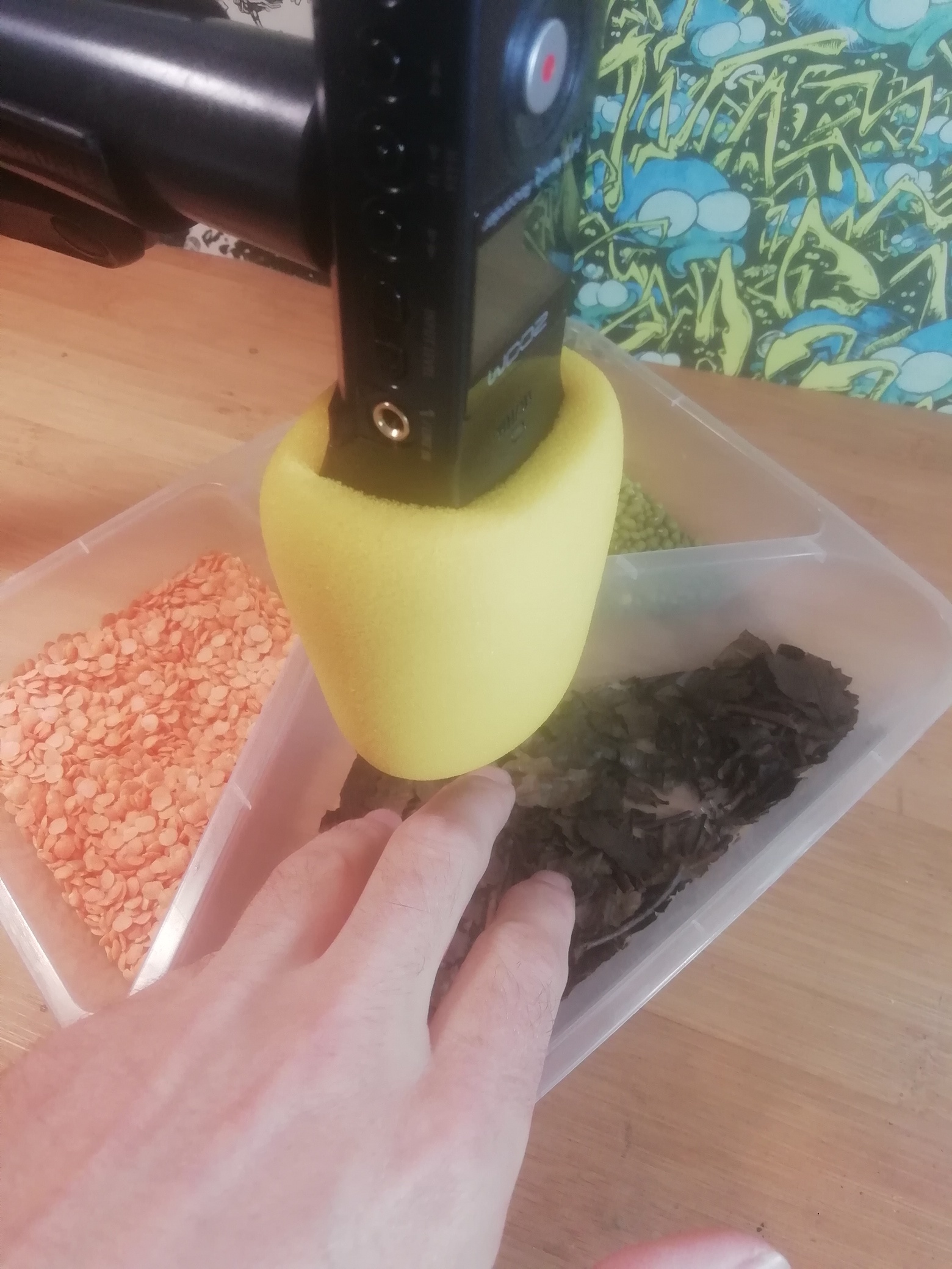 ZOOM recorder instructions