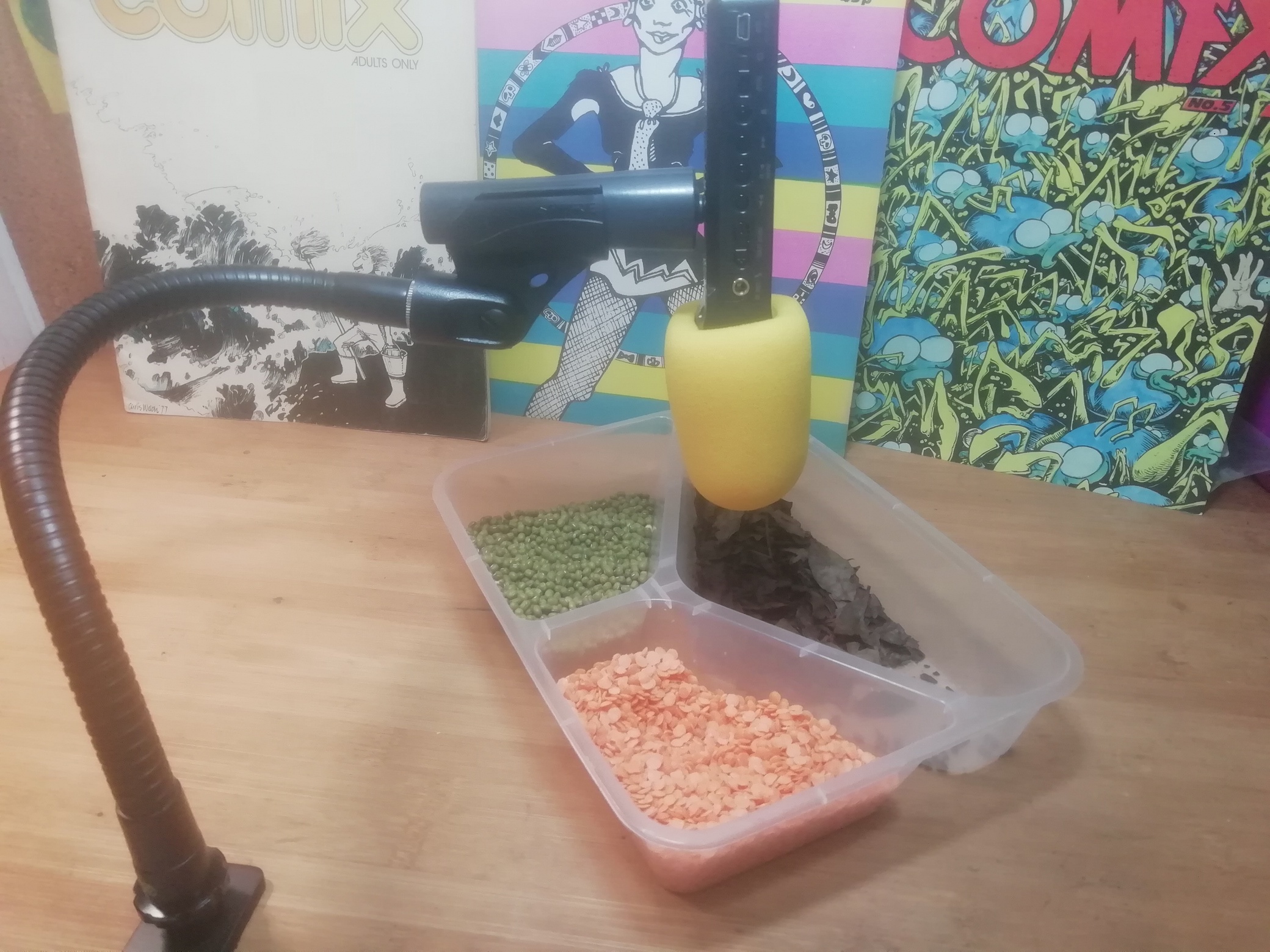 ZOOM recorder instructions