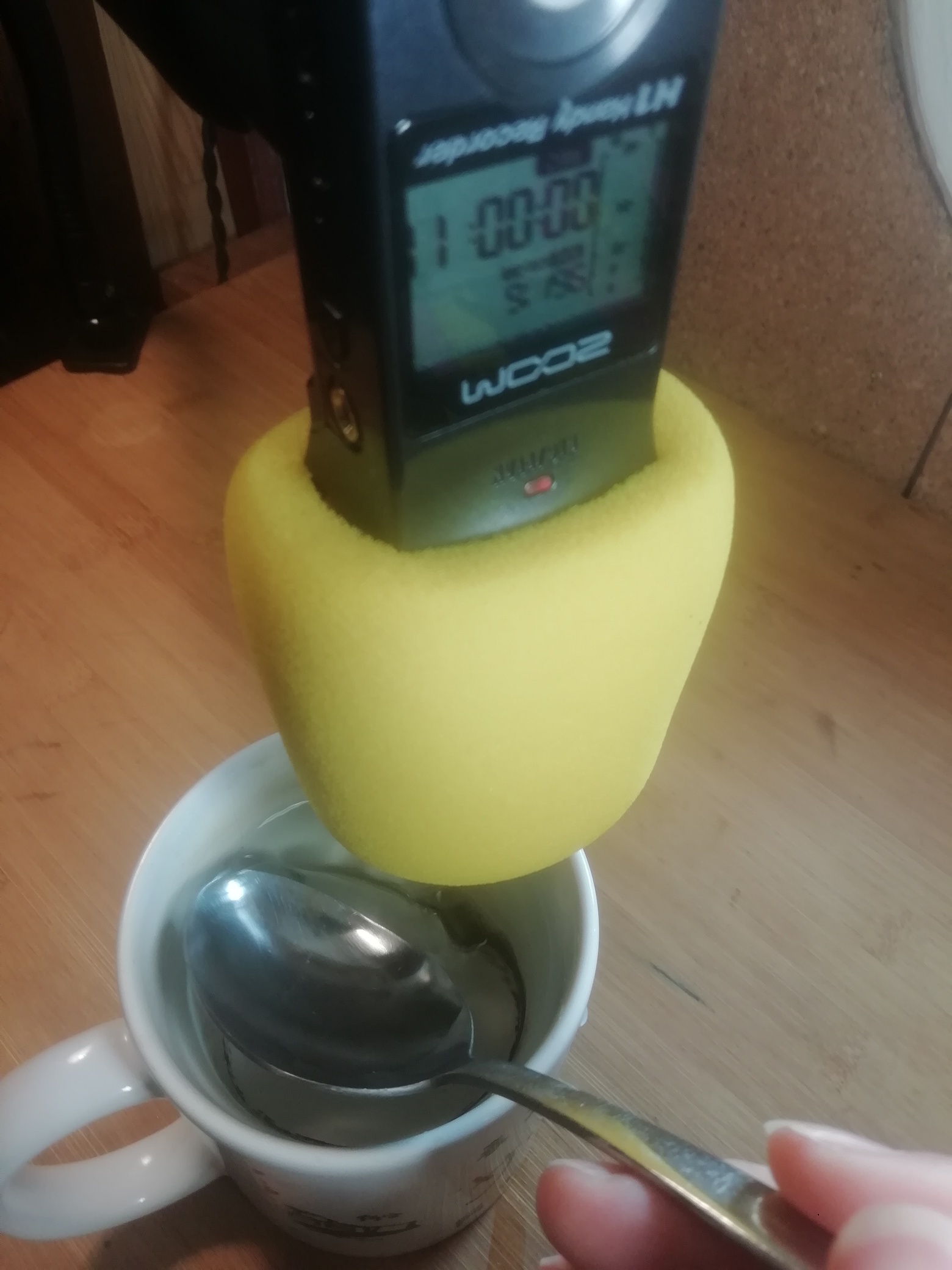 ZOOM recorder instructions