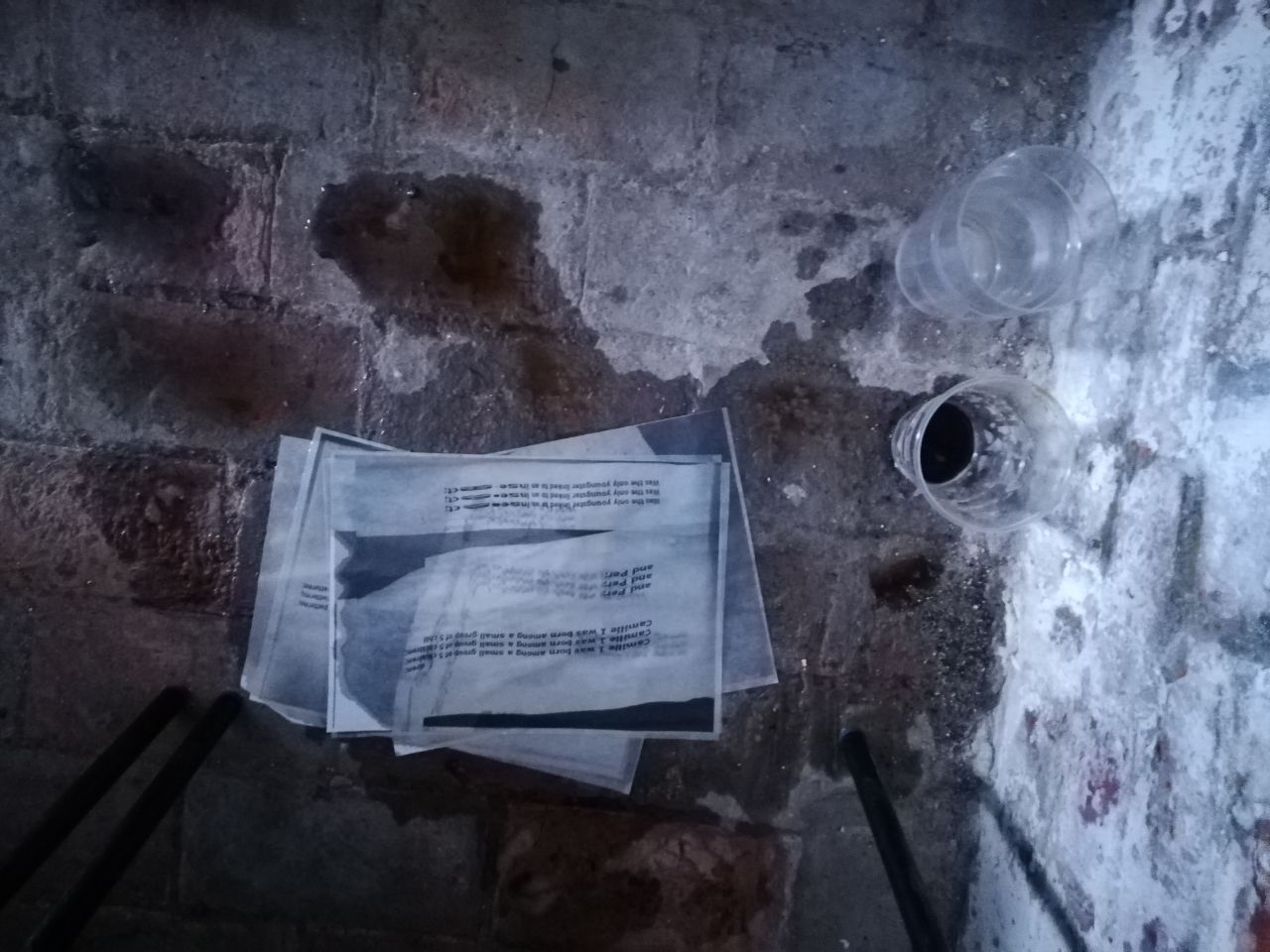 Silence-Blossoms @ Fort-Process